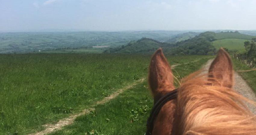 The view across North Devon from between a horse's ears on Codden Hill