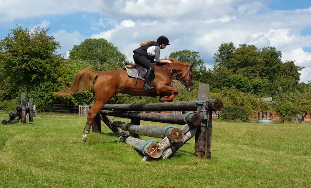 A rider jumping a log fence in the field at Newland Park